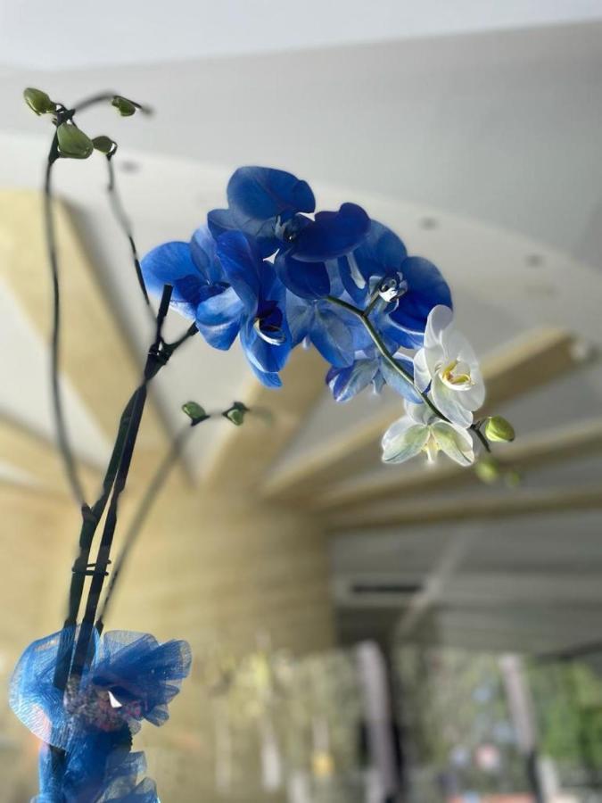 Oasi Park Hotel ماسكالي المظهر الخارجي الصورة