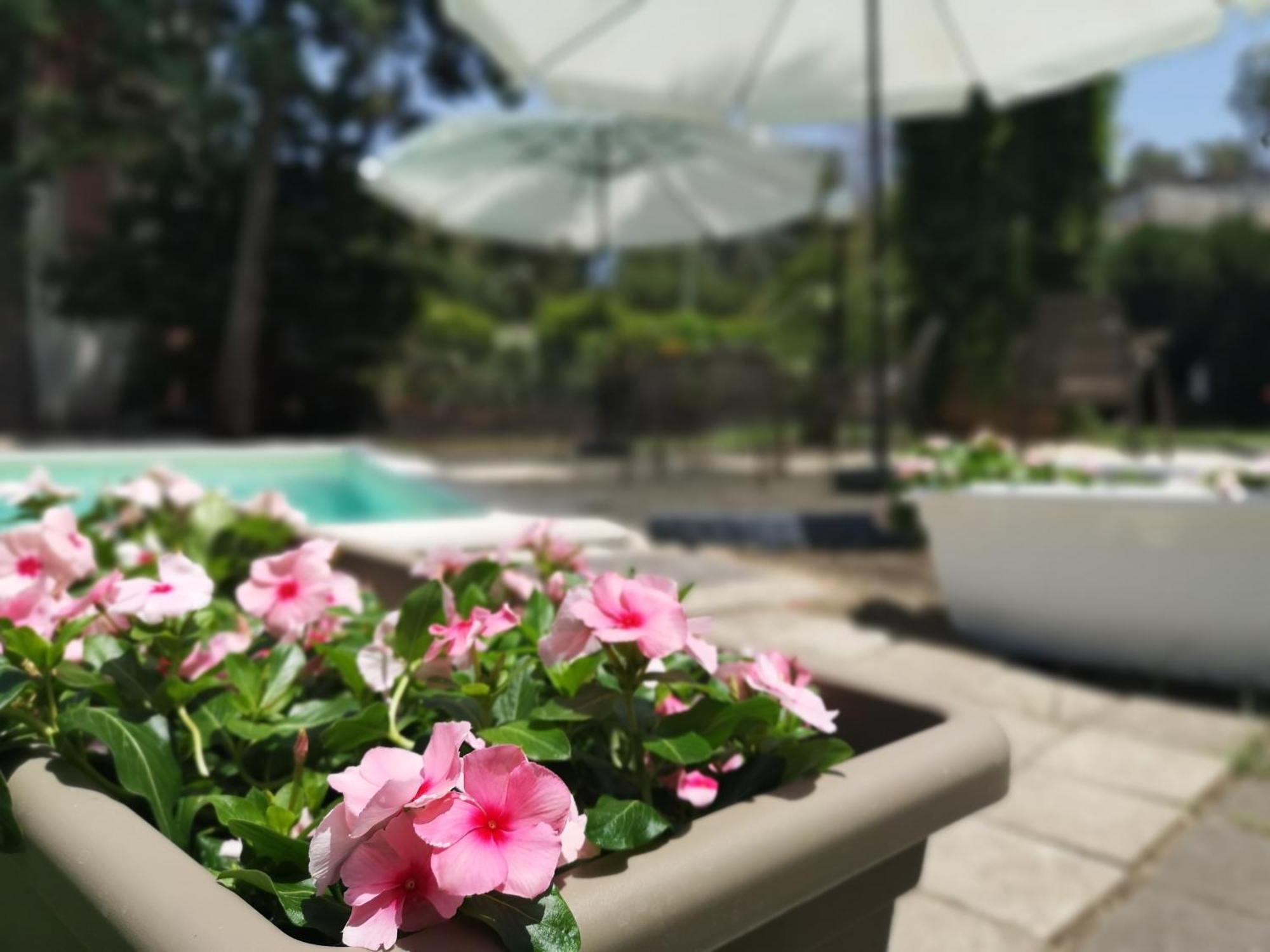 Oasi Park Hotel ماسكالي المظهر الخارجي الصورة
